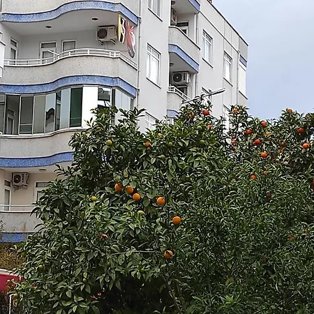 Daire Manolya Apartment. Alanya, Center